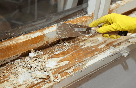 Effective Wood Rotten Repairs Service